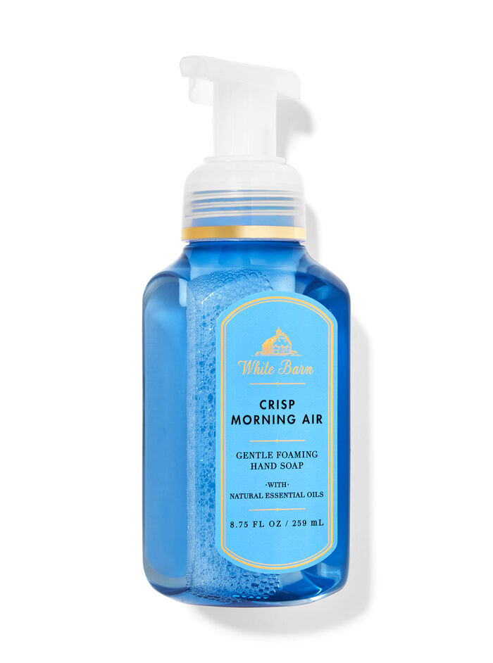 Crisp Morning Air Hand Soaps & Sanitizers/Hand soaps/Foam soaps Bath & Body Works
