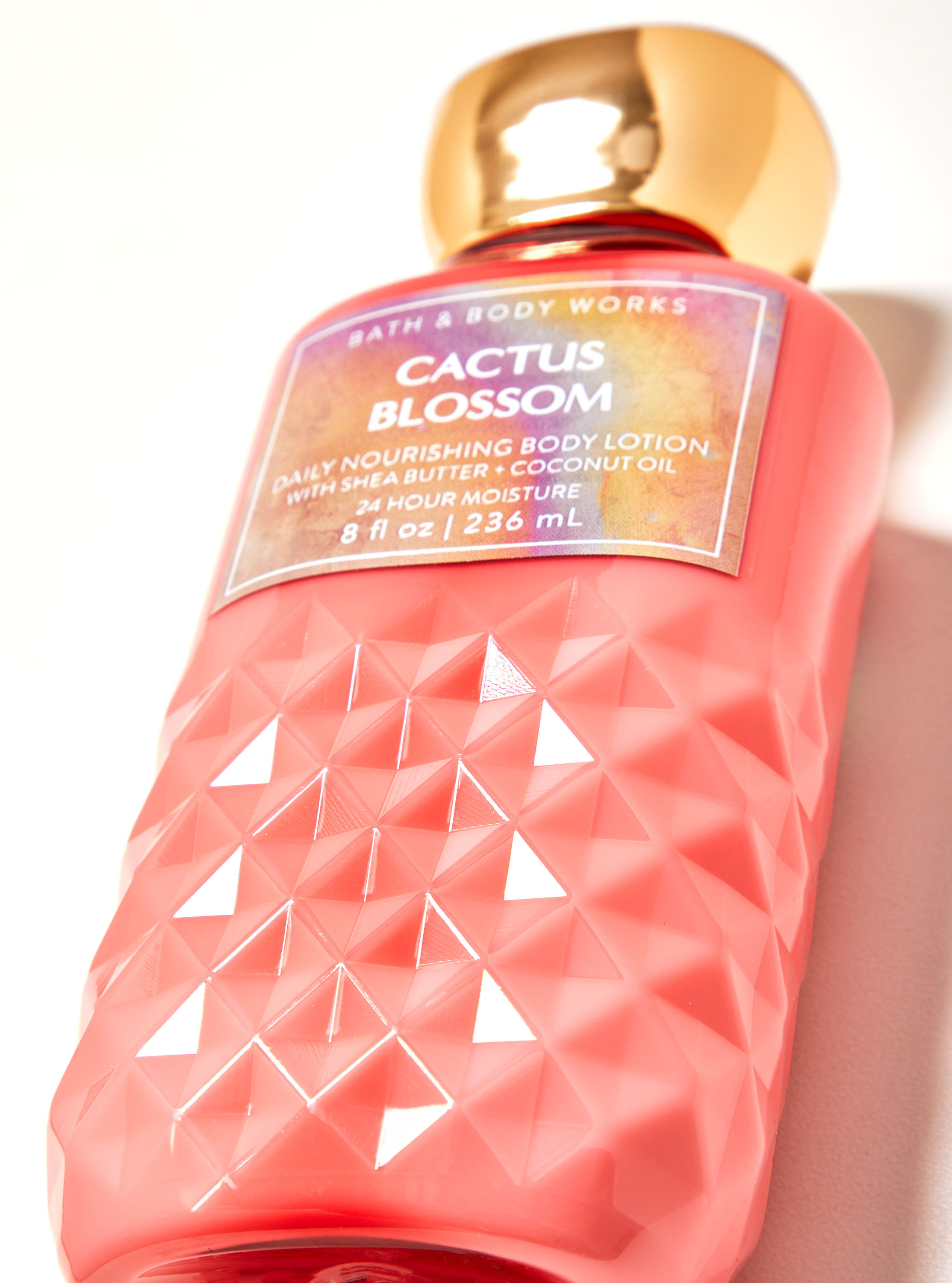 Bath and body works cactus shop blossom