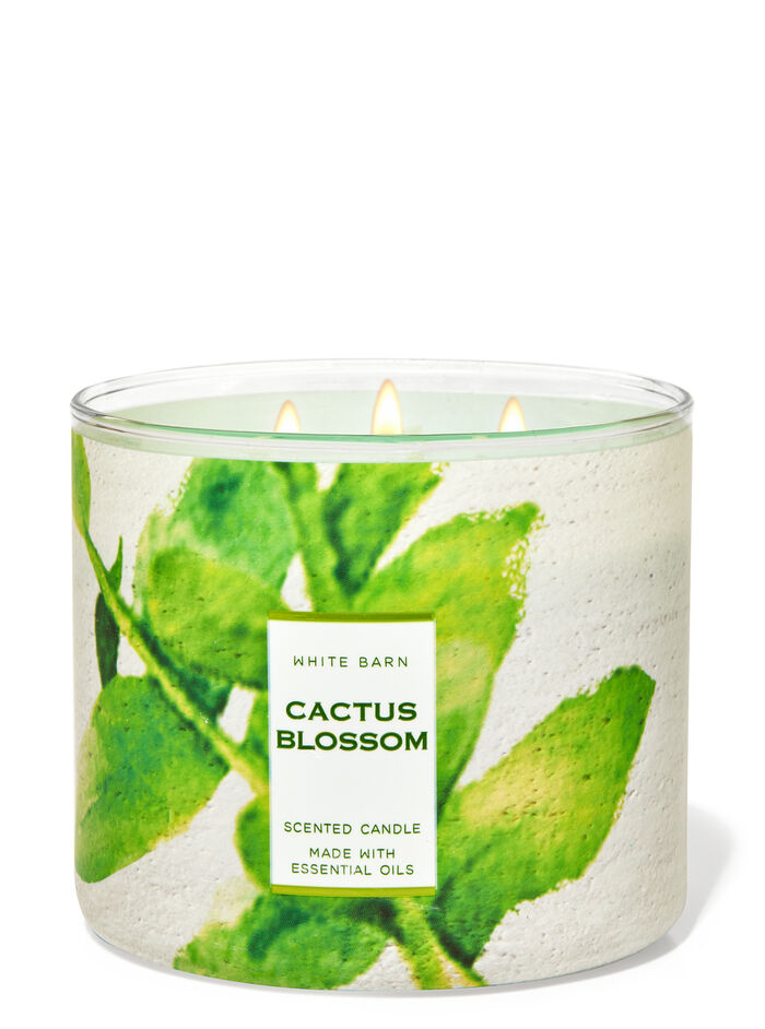 Cactus Blossom Gifts/Collections/Gifts for home Bath & Body Works