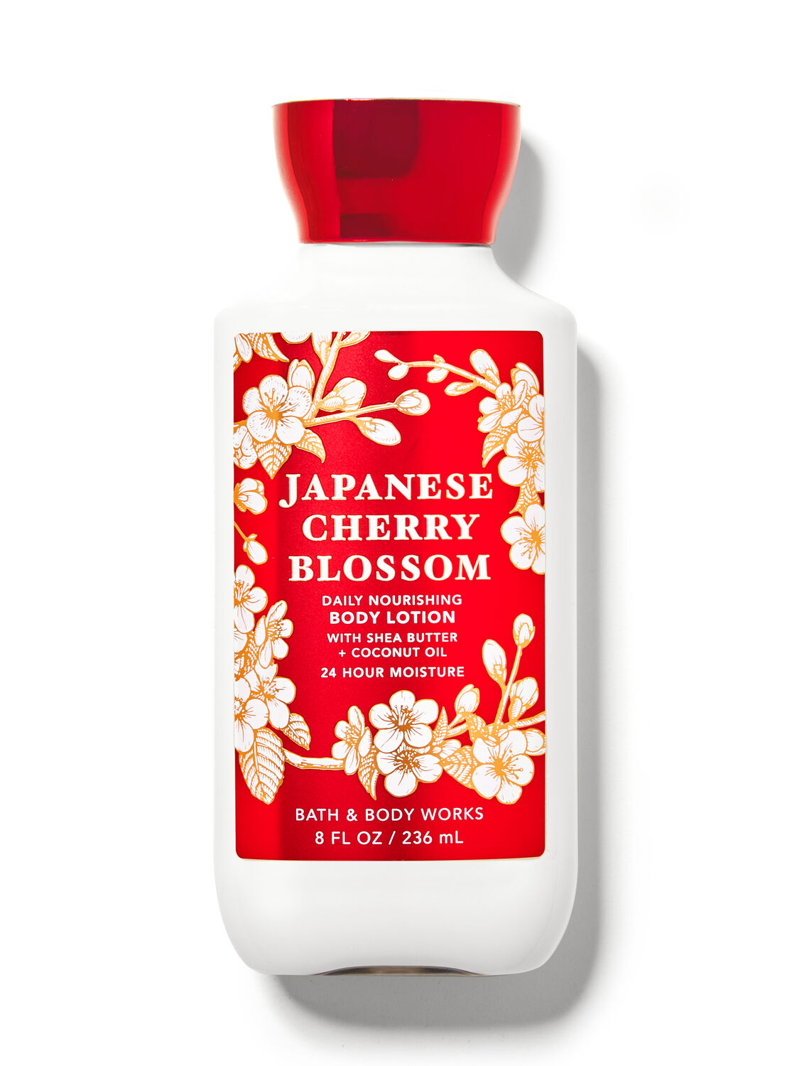 Japanese Cherry Blossom