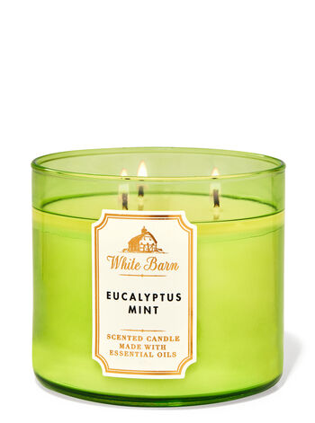 Eucalyptus Mint gifts collections gifts for him Bath & Body Works1