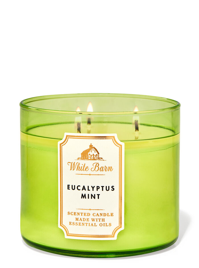 Eucalyptus Mint gifts collections gifts for him Bath & Body Works