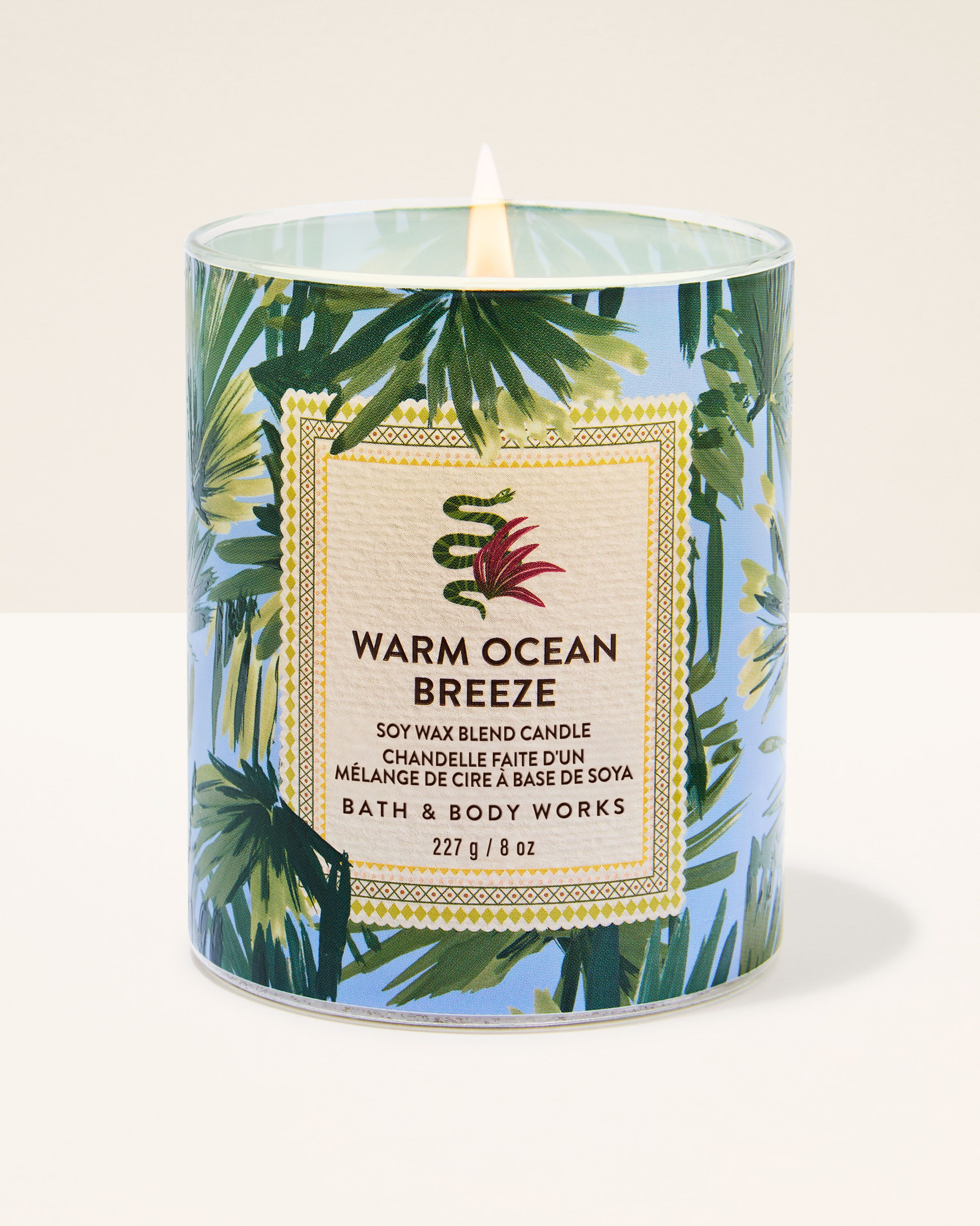 Bath & Body Works キャンドル Shop Chocolate Covered Orange Single Wick Candle | Bath & Body