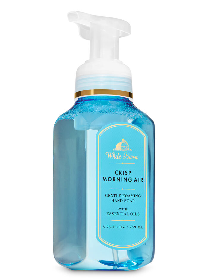 Crisp Morning Air Hand Soaps & Sanitizers/Hand soaps/Foam soaps Bath & Body Works
