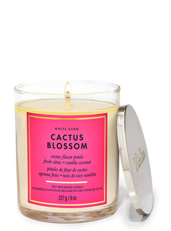 Cactus Blossom Home Fragrance/Candles/1-wick candles Bath & Body Works1
