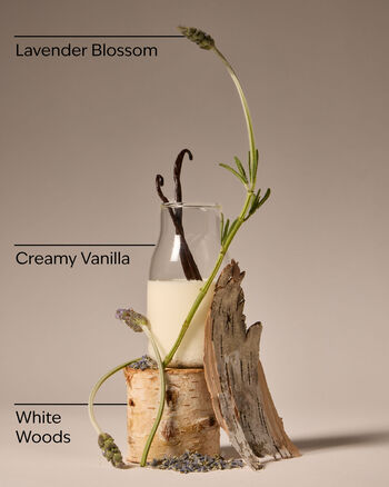 Lavender Vanilla PRODOTTI PER IL CORPO/Set regalo/Cofanetti Corpo Bath & Body Works3