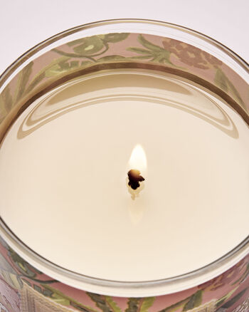 Warm Summer Evening Home Fragrance/Featured/White Barn collection Bath & Body Works3