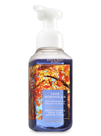 Crisp Morning Air Hand Soaps & Sanitizers/Featured/Hand care Bath & Body Works1