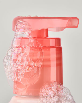 Mango & Coconut Milk SAPONI E IGIENIZZANTI MANI/IN EVIDENZA/Gentle & Clean Hand Soaps Bath & Body Works3