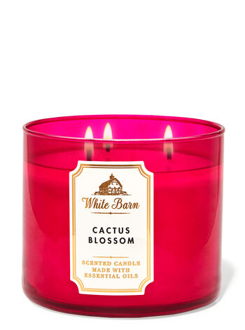 Cactus Blossom fragranza 3-Wick Candle