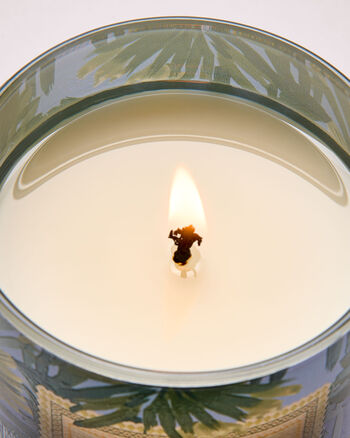 Warm Ocean Breeze Home Fragrance/Featured/White Barn collection Bath & Body Works3