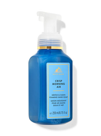 Crisp Morning Air Hand Soaps & Sanitizers/Hand soaps/Foam soaps Bath & Body Works1
