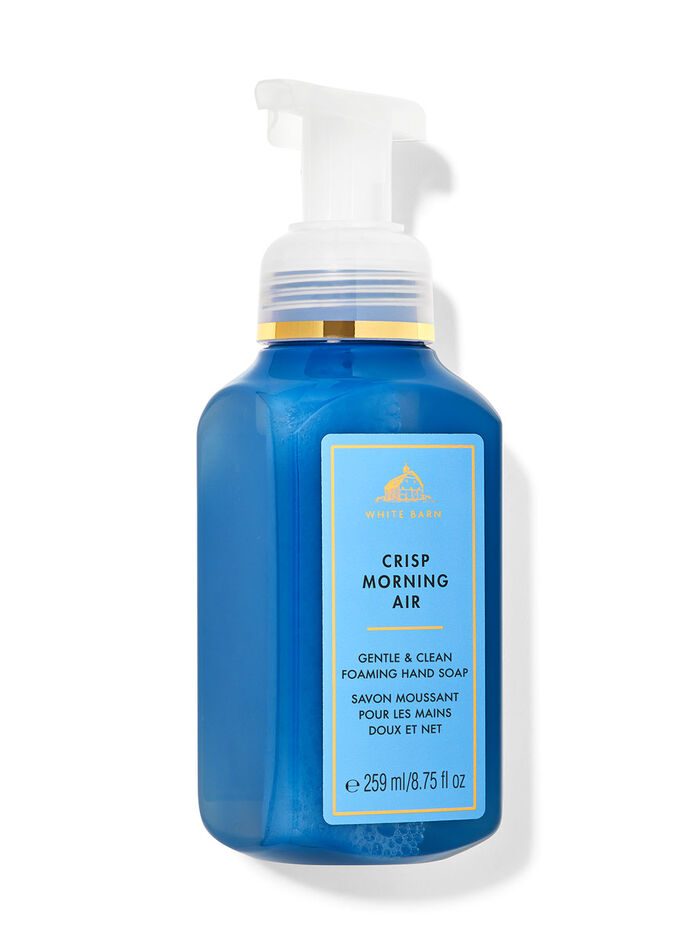 Crisp Morning Air Hand Soaps & Sanitizers/Hand soaps/Foam soaps Bath & Body Works