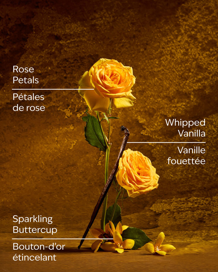 Belle CANDELE/Tutte le Candele/Candela a Tre Stoppini Bath & Body Works