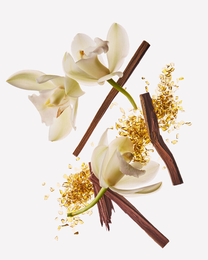 Dreamy Amber Home Fragrance/Home & Car Air fresheners/Wallflowers refill Bath & Body Works