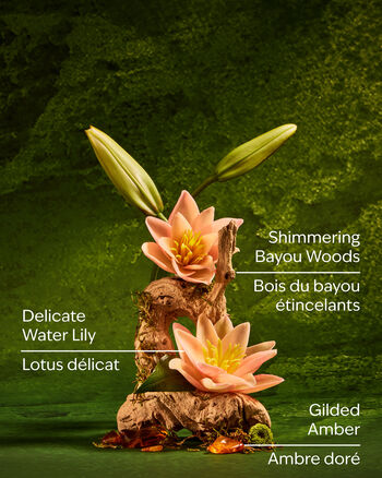 Tiana Body care/Fragrance/Body sprays & mists Bath & Body Works3