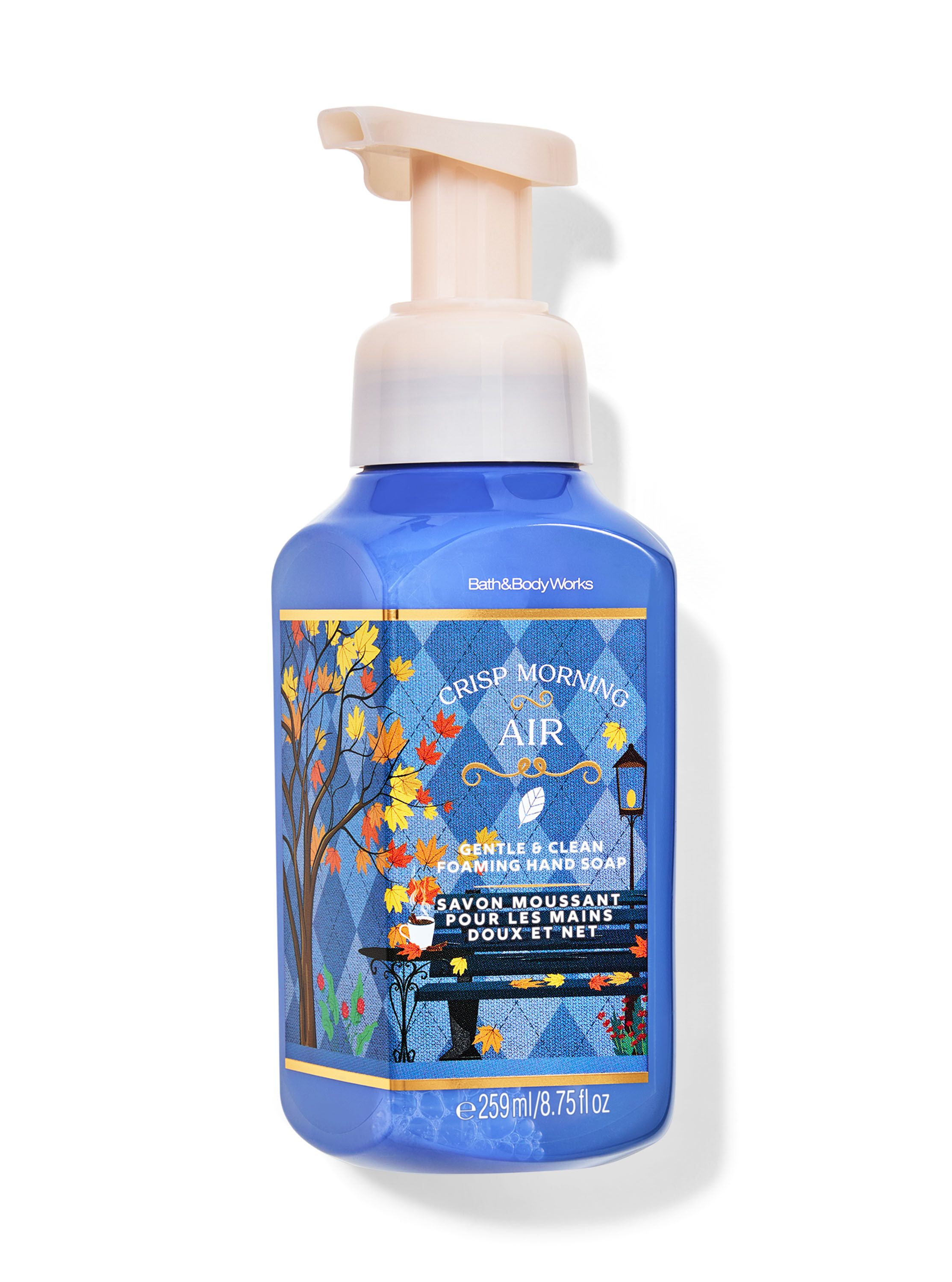 Gentle & Clean Foaming Hand Soap Crisp Morning Air | Bath & Body