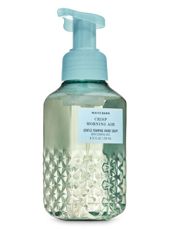 Crisp Morning Air SAPONI E IGIENIZZANTI MANI/VEDI TUTTI SAPONI E IGIENIZZANTI MANI Bath & Body Works1