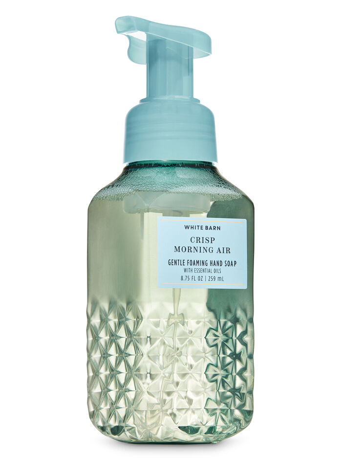 Crisp Morning Air SAPONI E IGIENIZZANTI MANI/VEDI TUTTI SAPONI E IGIENIZZANTI MANI Bath & Body Works