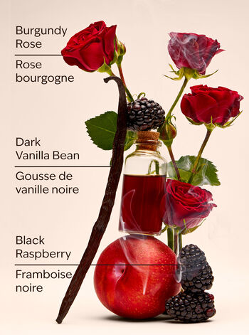 Dark Kiss Home Fragrance/Candles/3-wick candles Bath & Body Works2