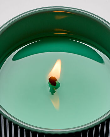 White Tea & Sage CANDELE/Tutte le Candele/Candela a Uno Stoppino Bath & Body Works3