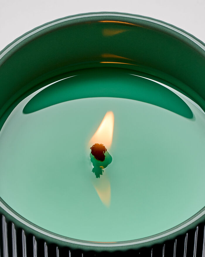 White Tea & Sage CANDELE/Tutte le Candele/Candela a Uno Stoppino Bath & Body Works
