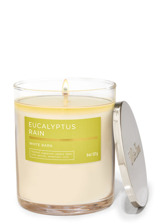 Eucalyptus Rain fragrance Signature Single Wick Candle