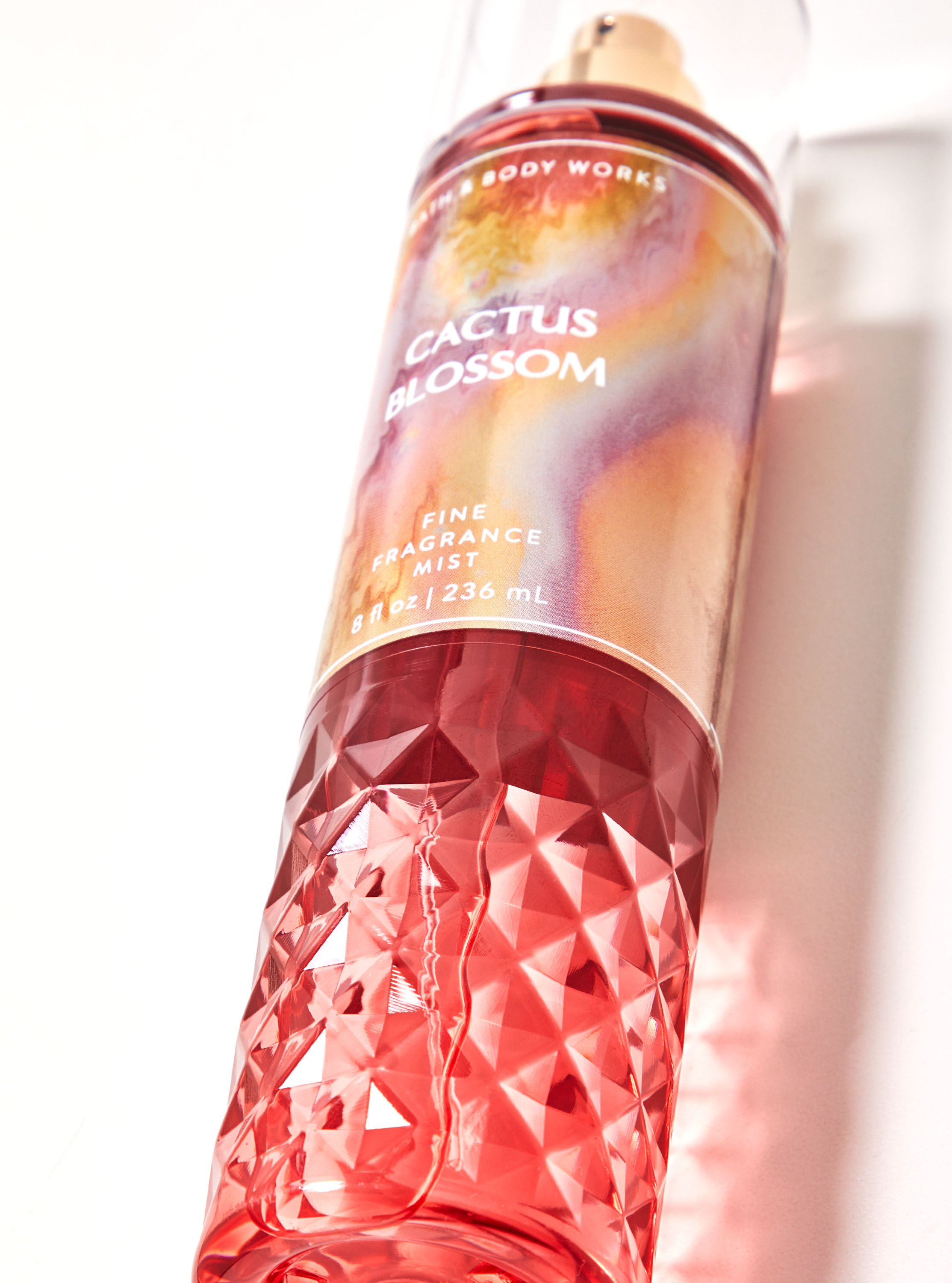 Cactus blossom bath and body works cheap