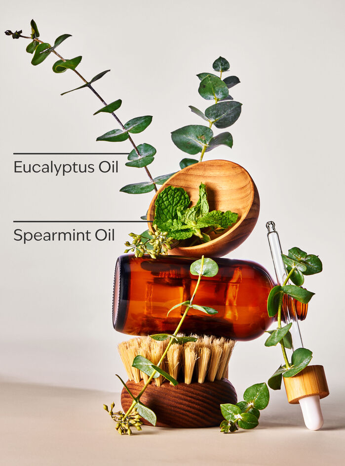 Eucalyptus Spearmint Candele/Tutte le Candele Bath & Body Works