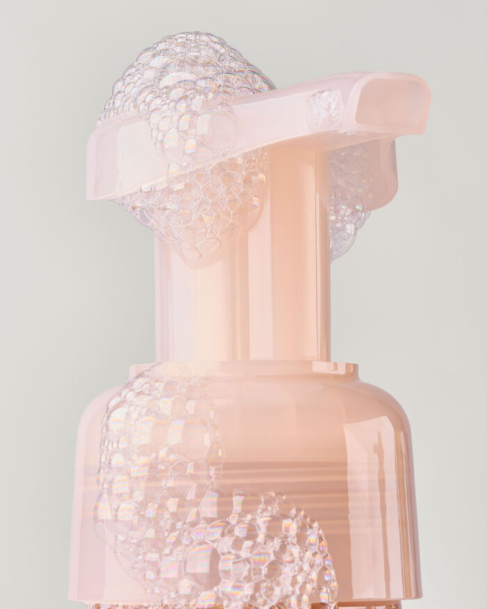 Book Loft Hand Soaps & Sanitizers/Hand soaps/Foam soaps Bath & Body Works