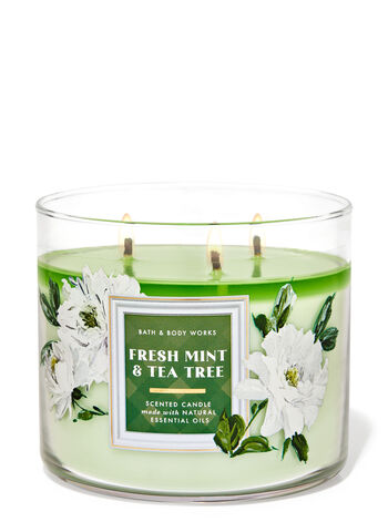 Fresh Mint & Tea Tree Fuori Catalogo Bath & Body Works1