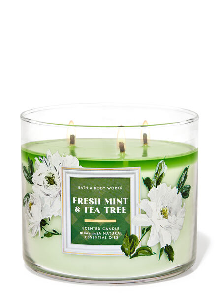 Fresh Mint & Tea Tree home fragrance candles 3-wick candles Bath & Body Works