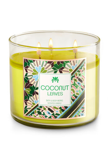 Coconut Leaves fragranza 3-Wick Candle