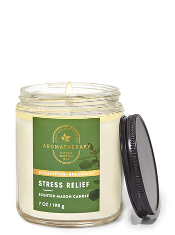 Eucalyptus Spearmint home fragrance candles 1-wick candles Bath & Body Works1