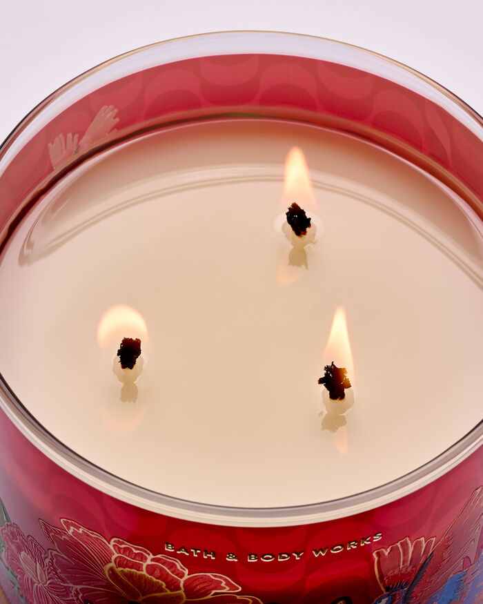 Viva Brazil CANDELE/Tutte le Candele/Candela a Tre Stoppini Bath & Body Works