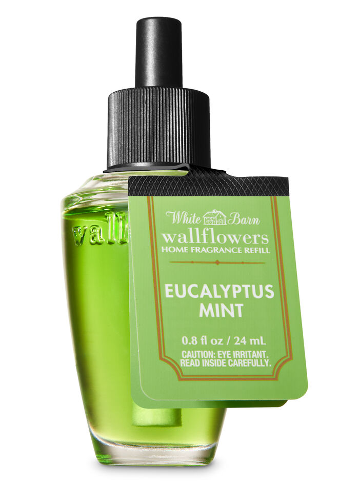 Eucalyptus Mint idee regalo collezioni regali per lui Bath & Body Works
