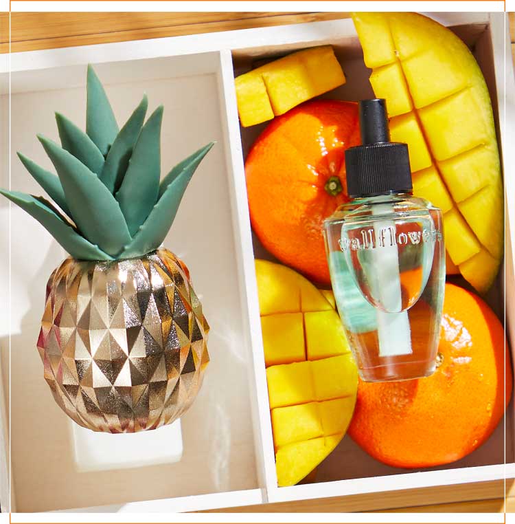 Seasonal air fresheners at Bath and Body Works