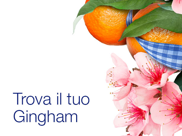 Novità Idee Regalo