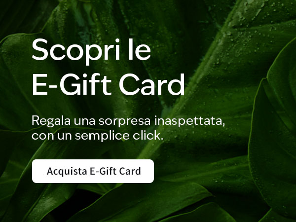 Novità Idee Regalo